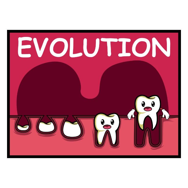 Tooth development. Dentist Gift