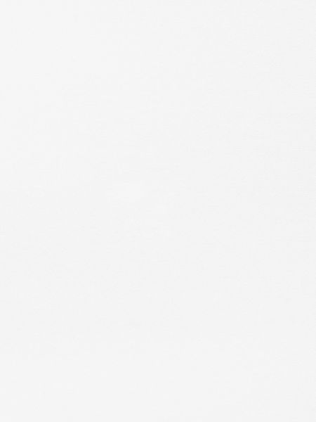 Spiegel Icon Puls