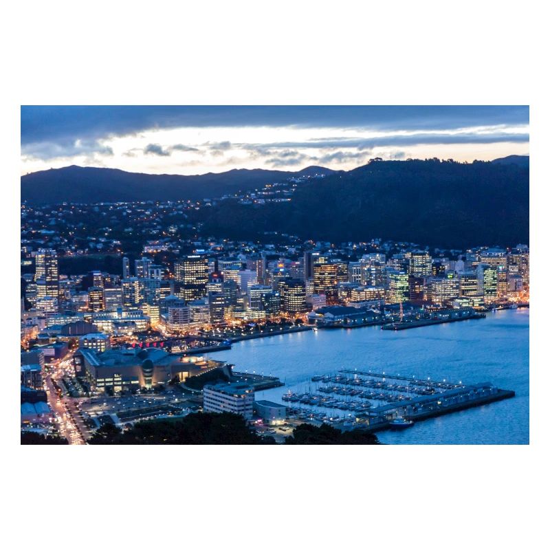 Wellington By Night