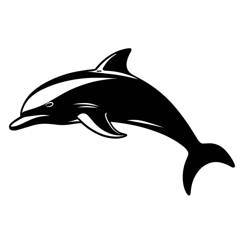 Bébé dauphin