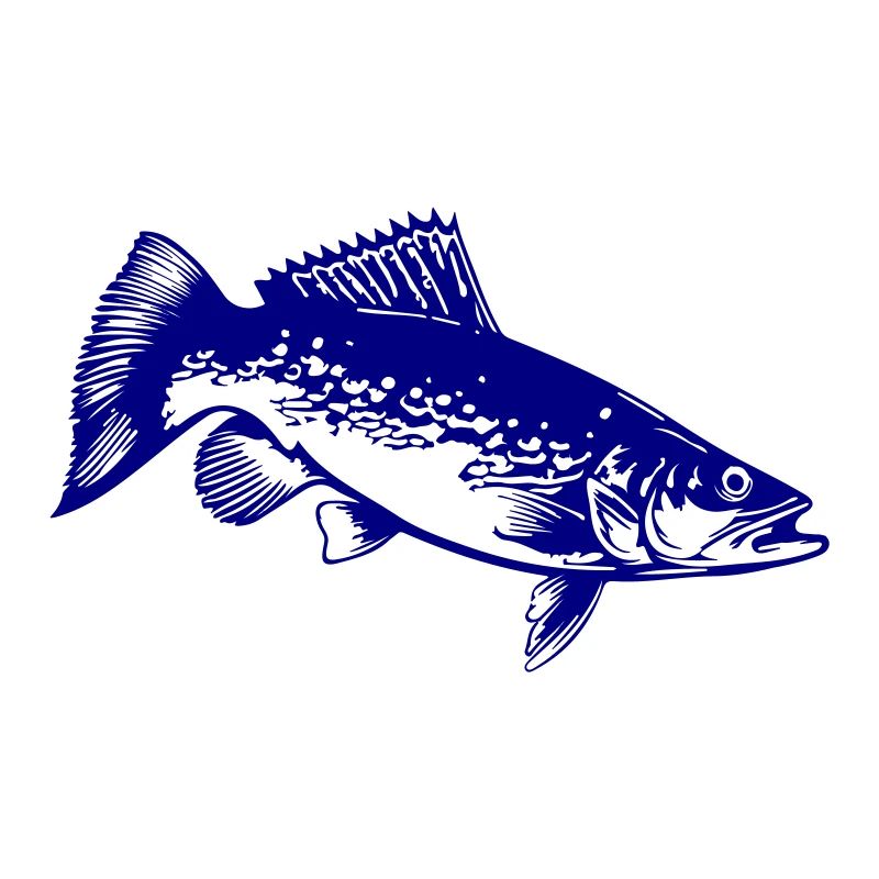 Hecht Fisch Silhouette