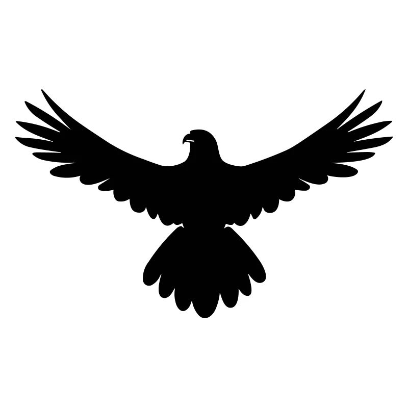 hawk