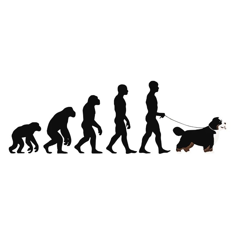 Berner Sennenhund