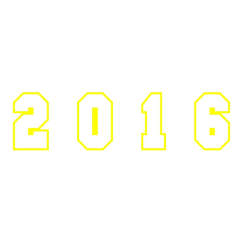 2016 Year Number