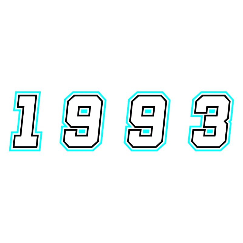 1993 Year Number