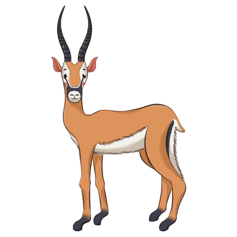 Antilope