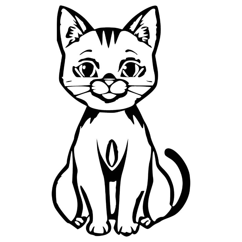funny-cat-tshirt-women-white_Geschenk