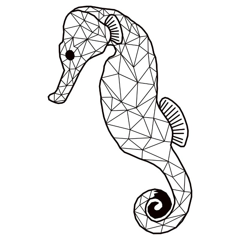 Seahorsee GeomeTRIX
