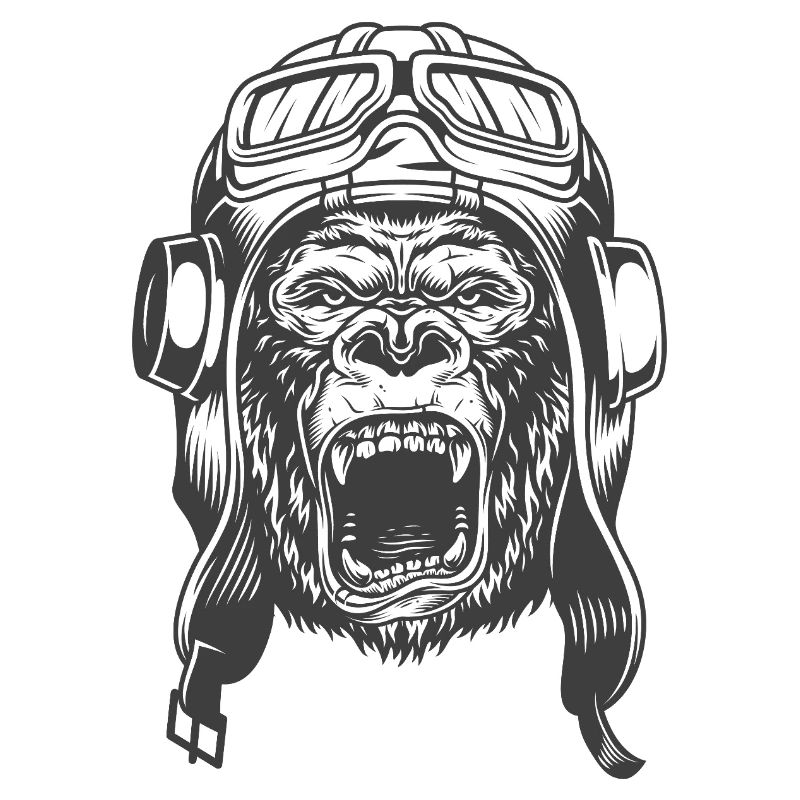 Conception du pilote Gorilla