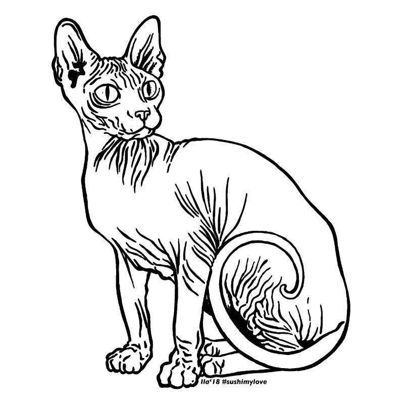 sushinero