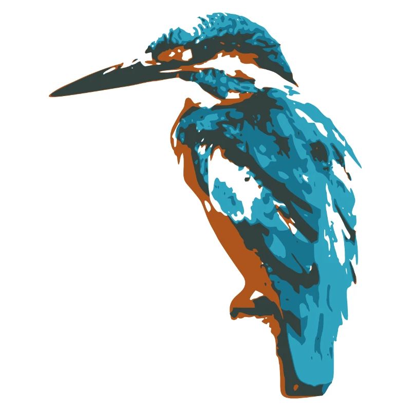 kingfisher