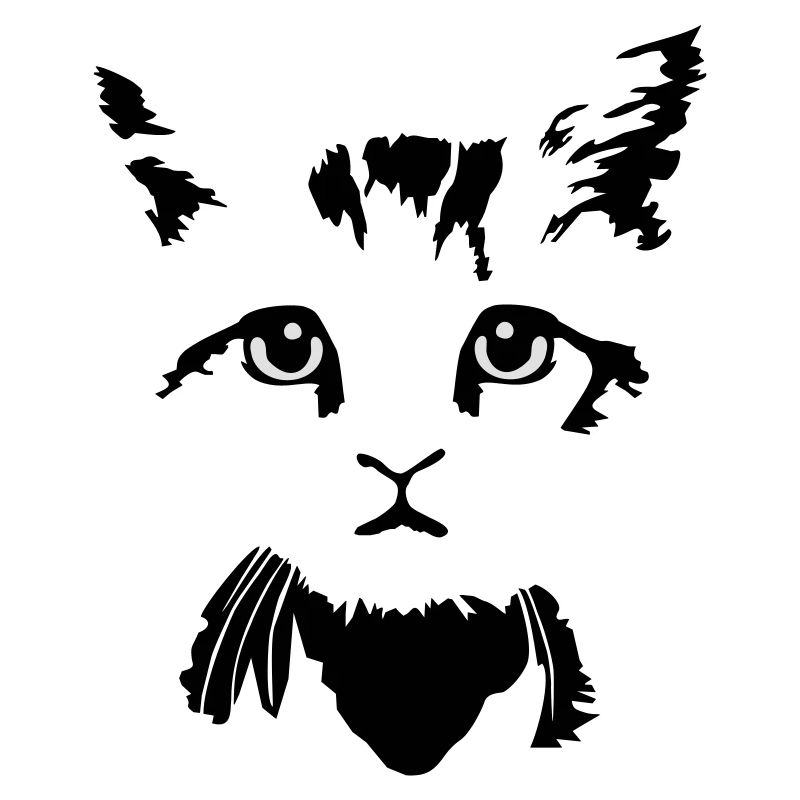 Kätzchen, Katze 2farbig