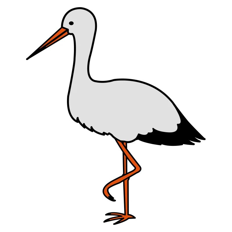 storch