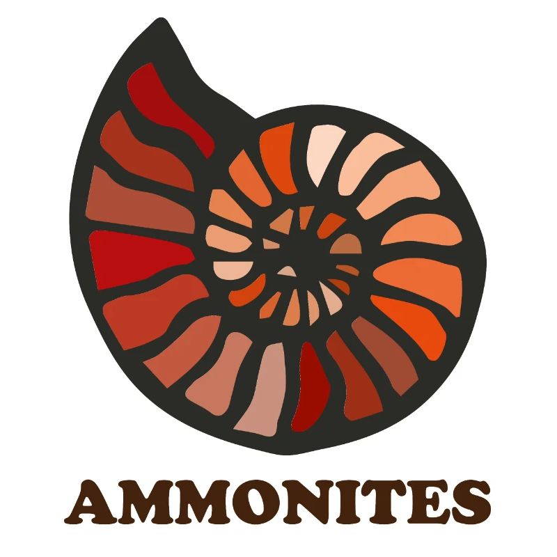 Ammoniten