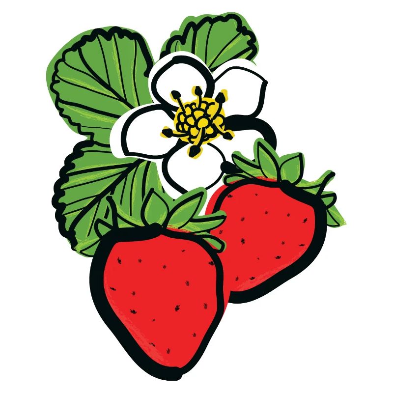 Erdbeeren Früchte