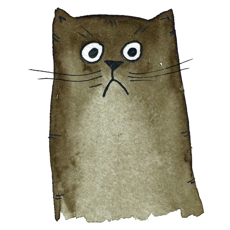 Katze braun