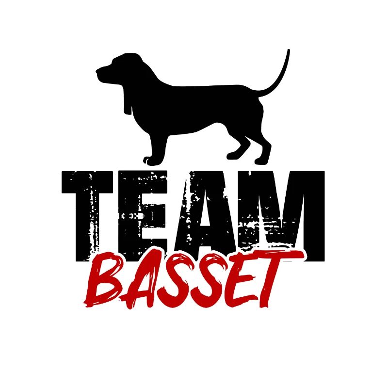 Team Bassett