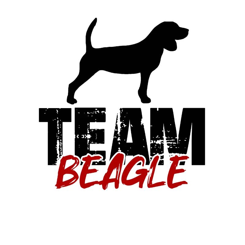 Équipe Beagle