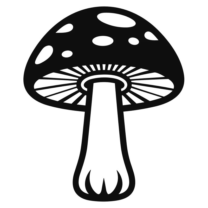 Pilz