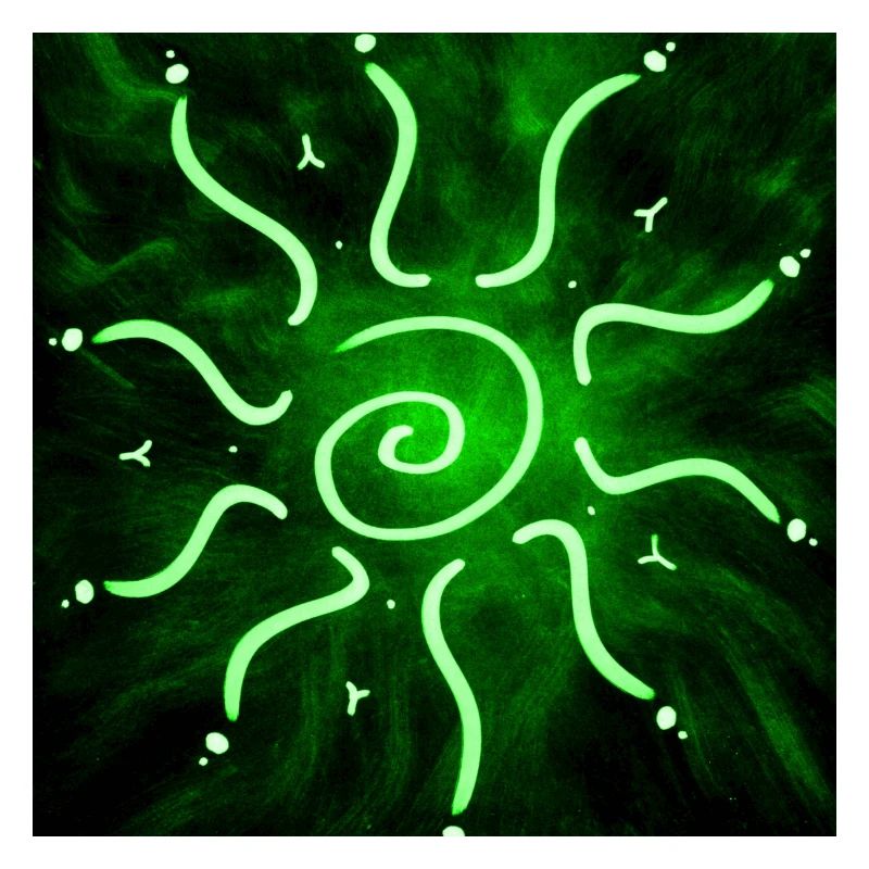 GRÜNE HEISSE SONNE