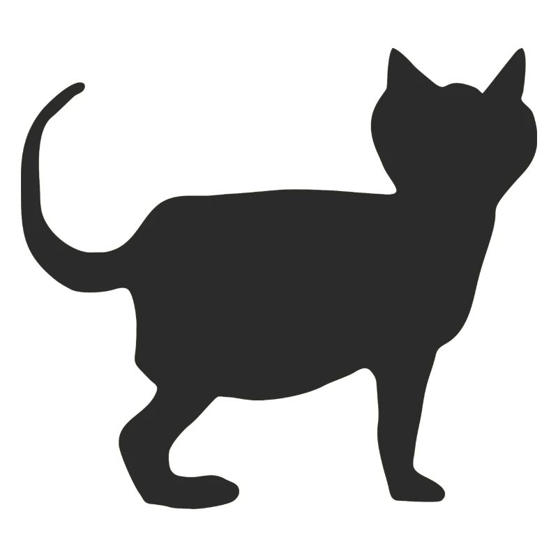 katze schwarz