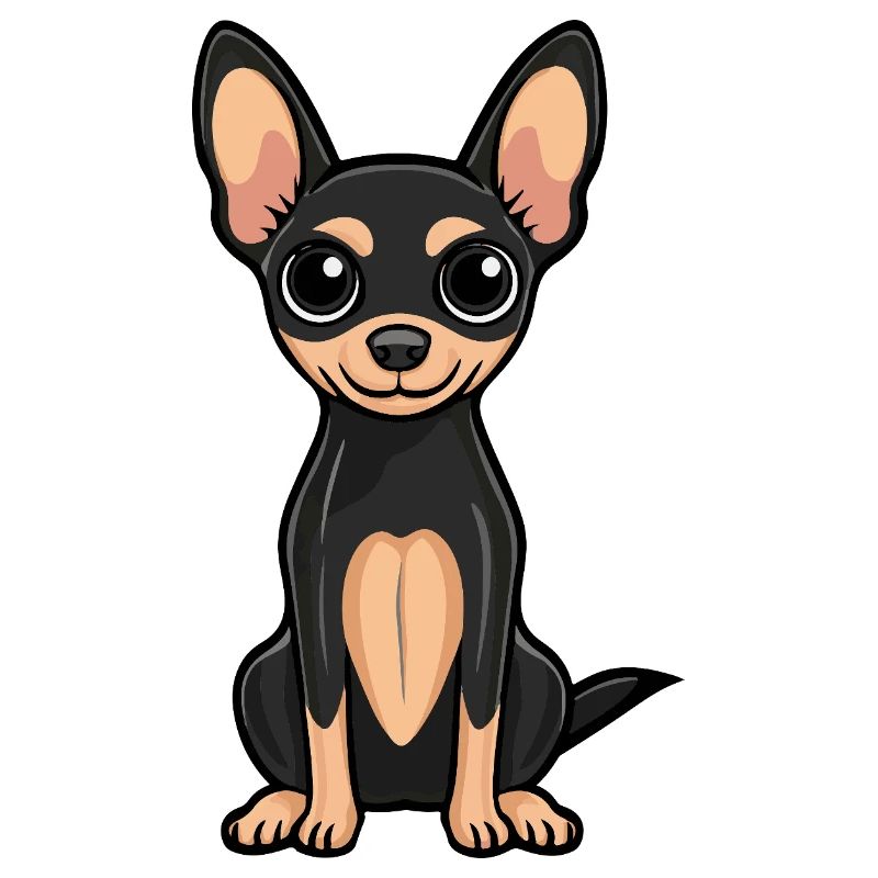 Pinscher Hund Niedlich