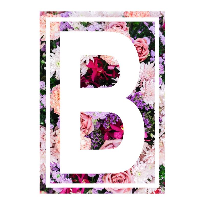 B