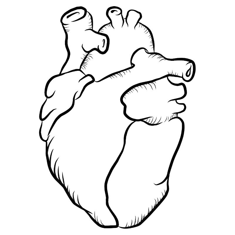 Anatomischer Herzlinien-Print
