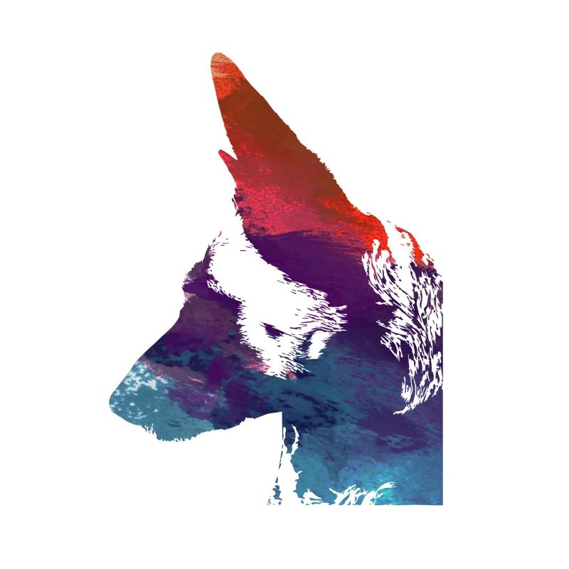 malinois,schäferhund,hund,graffiti