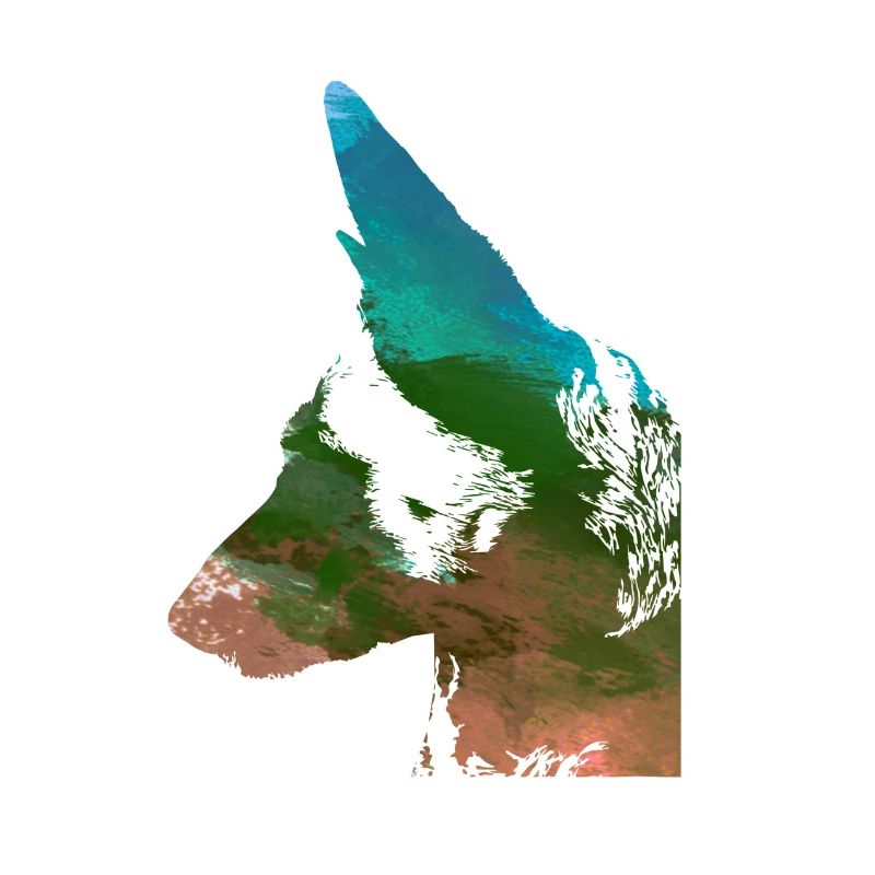 malinois,schäferhund,hund,graffiti