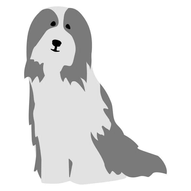 Bearded Collie