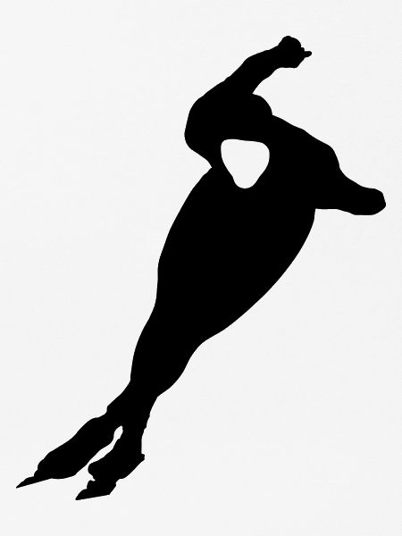 Skater, Skaten
