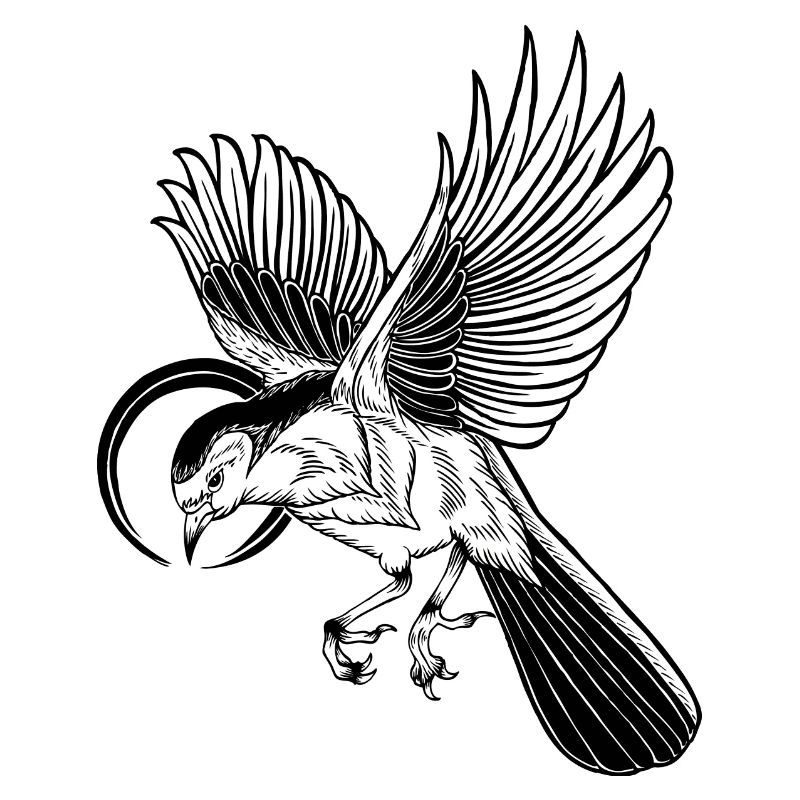 Vogel - Illustration