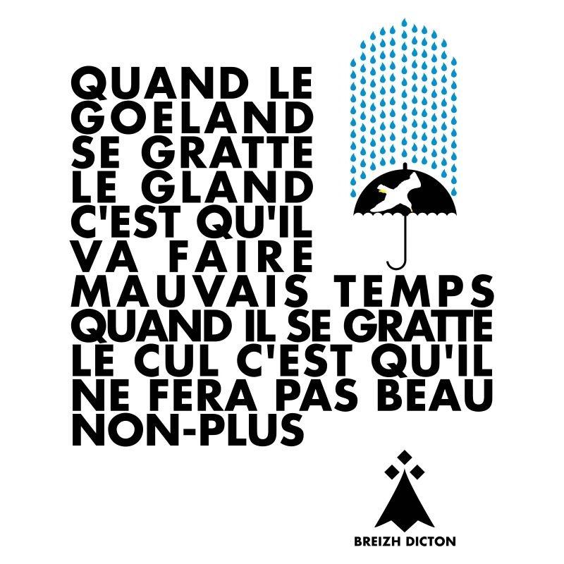BREIZH GOELAND