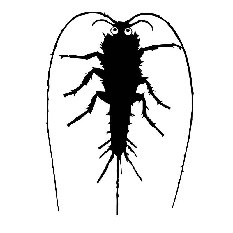 Silberfischchen