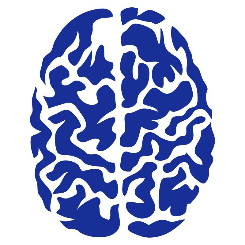 brain seen on drawing