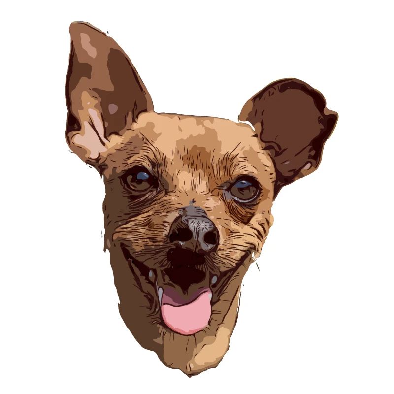 Pinscher Love