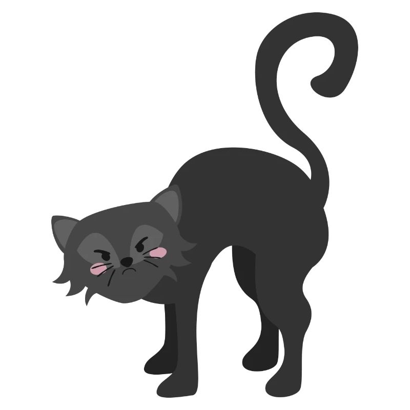 Schwarze Katze