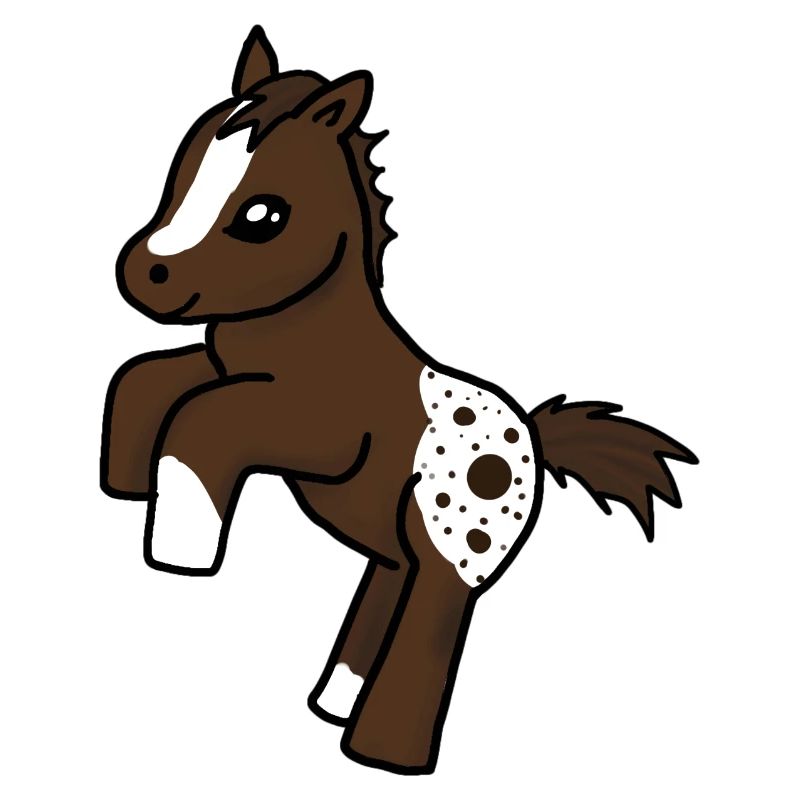 Appaloosa