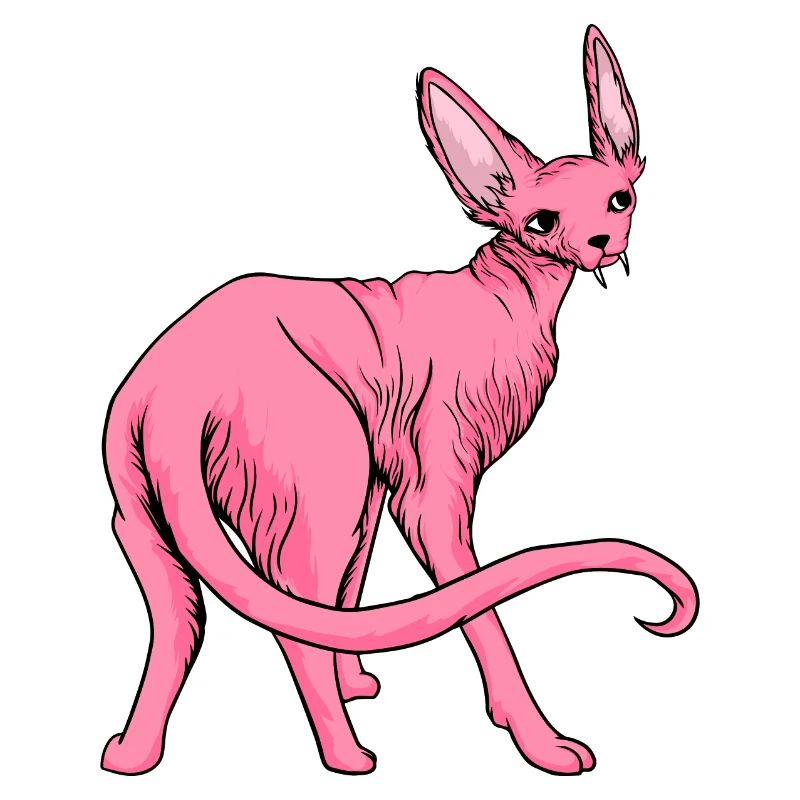 Lustige Katzen 21