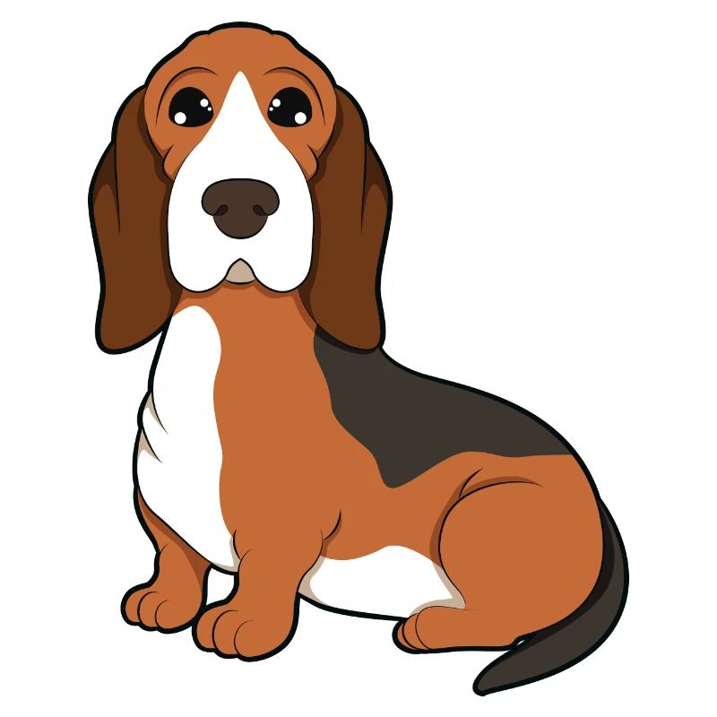 Basset Hound