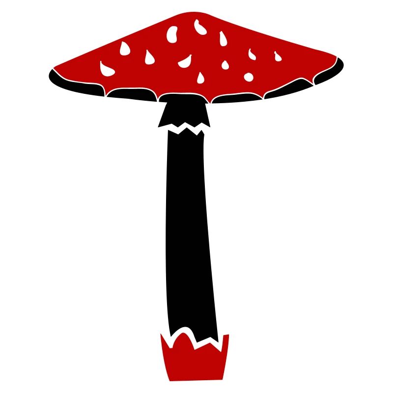 Pilz
