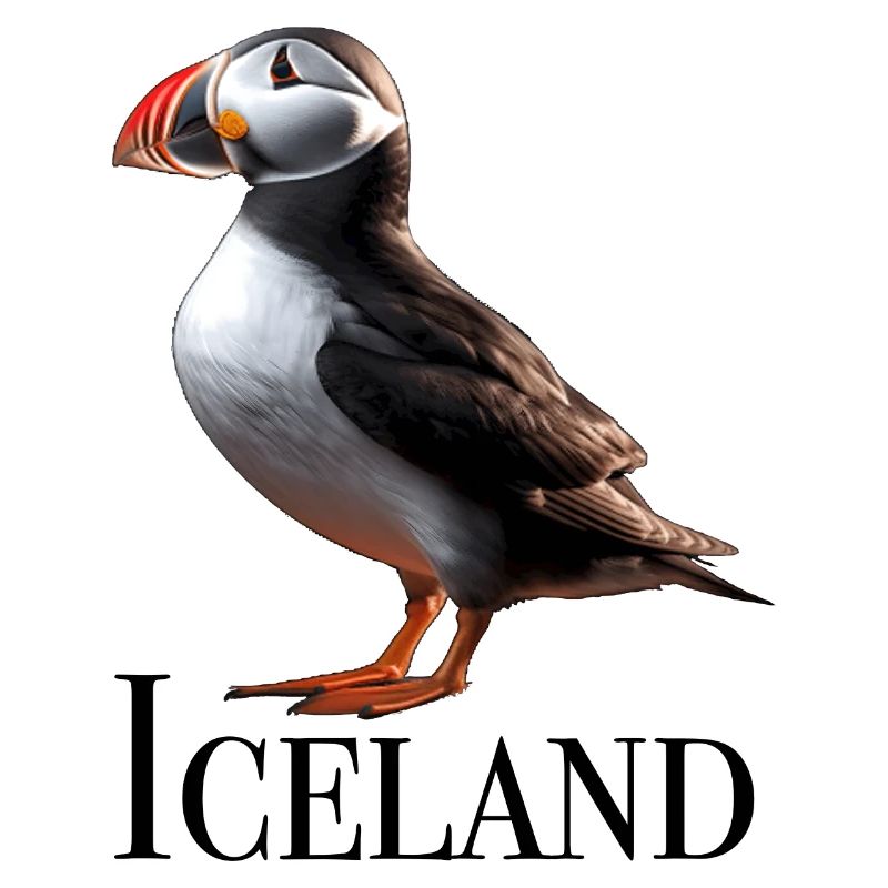 Iceland Puffin