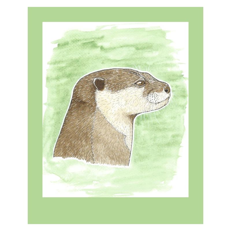 231003 Otter 3