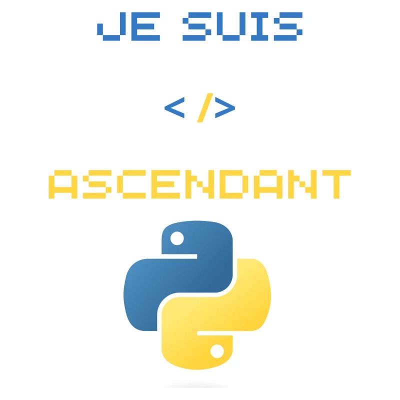 cadeau pour développeur python