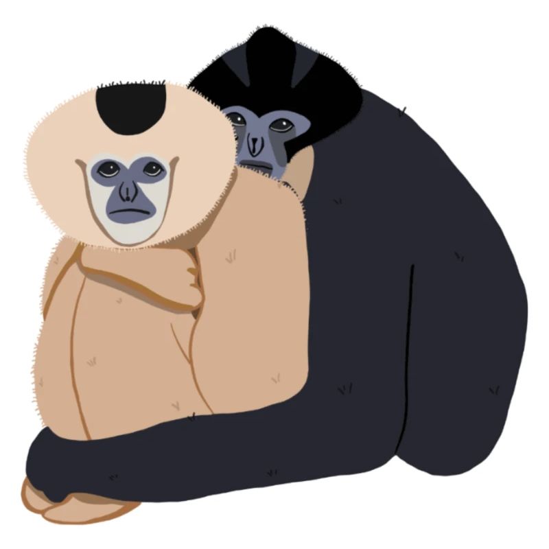 Gibbons