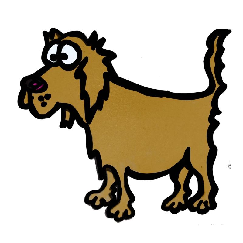 Hund