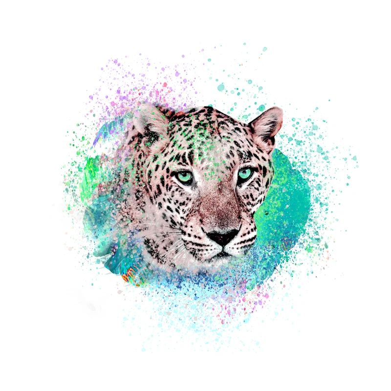 jaguar,wildkatze,leopard,graffiti,bunt