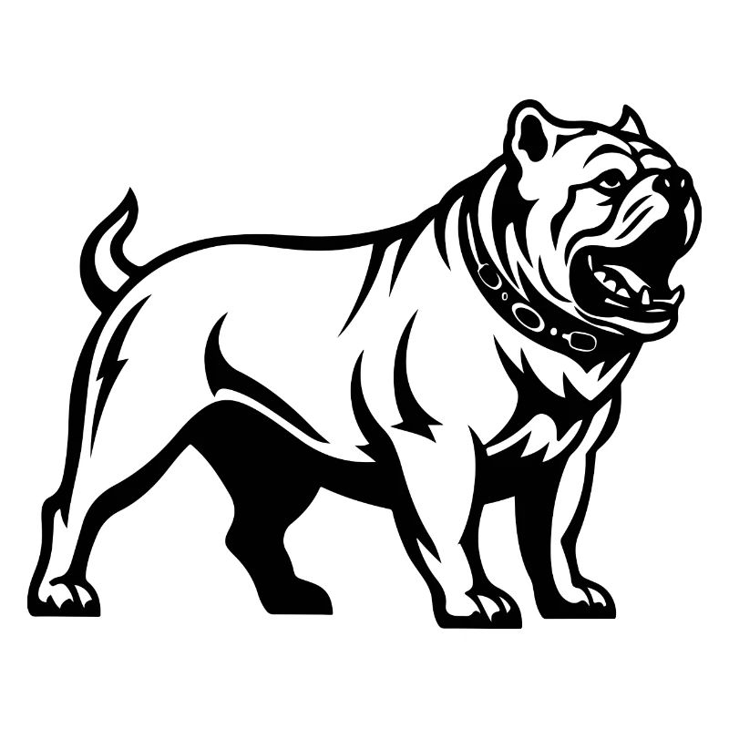 Bulldog Hund