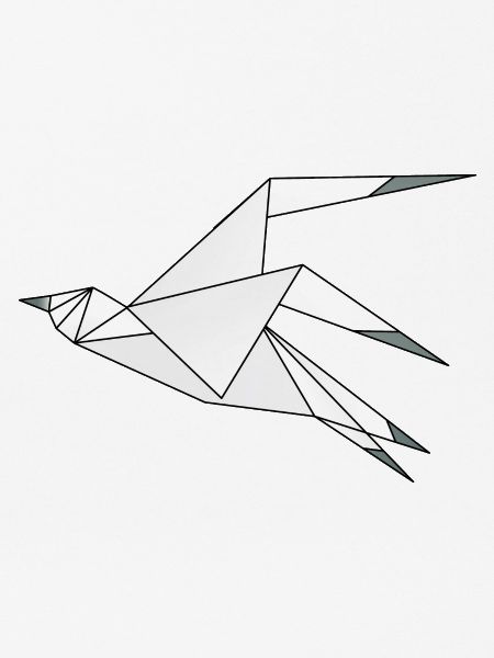 Möwe